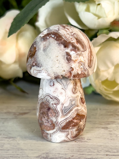 PINK CRAZY LACE AGATE MUSHROOMS Revive In Style Vintage Furniture Painted Refinished Redesign Beautiful One of a Kind Artistic Antique Unique Home Decor Interior Design French Country Shabby Chic Cottage Farmhouse Grandmillenial Coastal Chalk Paint Metallic Glam Eclectic Quality Dovetailed Rustic Furniture Painter Pinterest Bedroom Living Room Entryway Kitchen Home Trends House Styles Decorating ideas